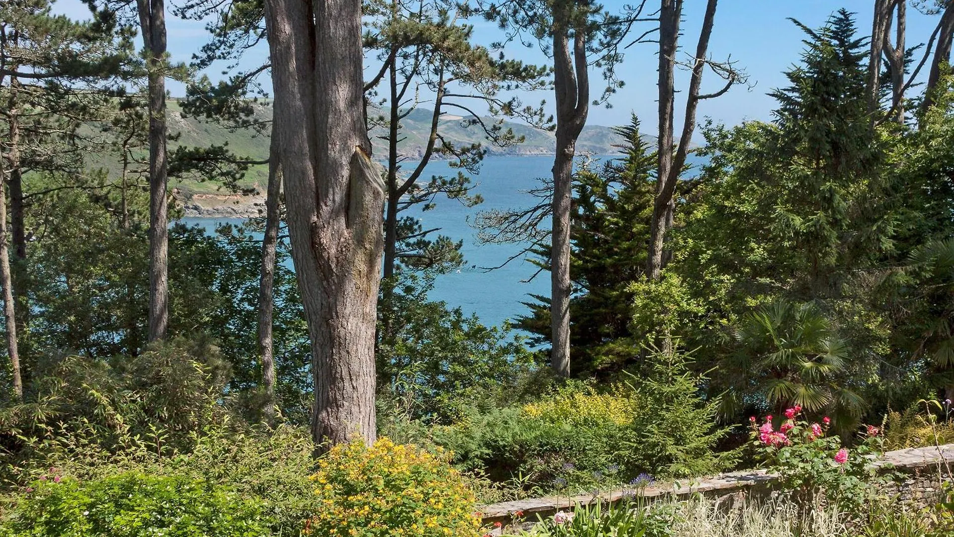 Ringrone 3 Salcombe
