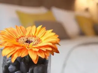 Hotel Harbour &