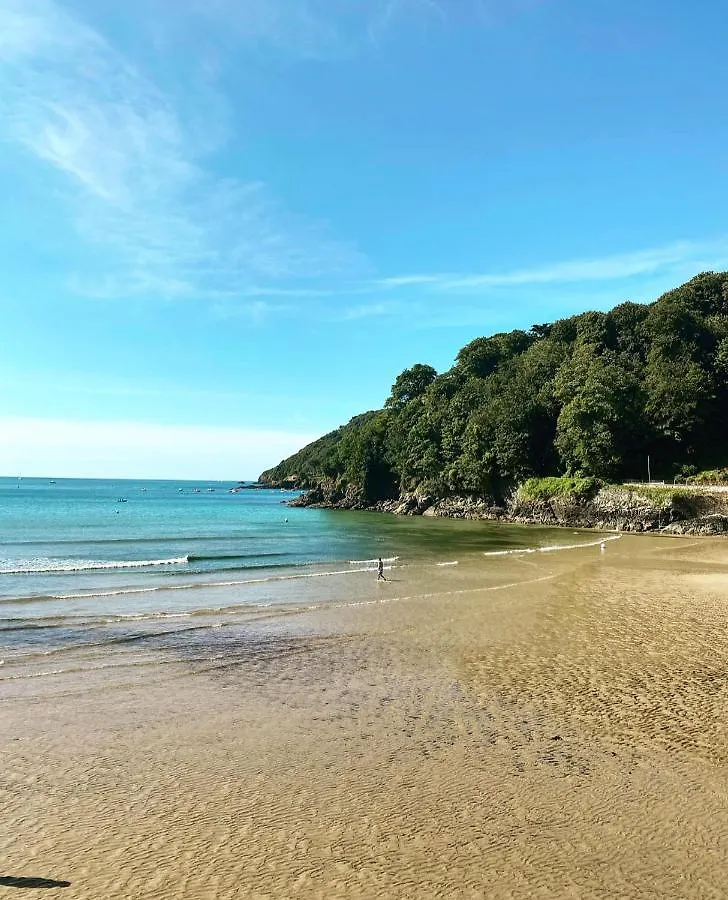 Elmo Salcombe