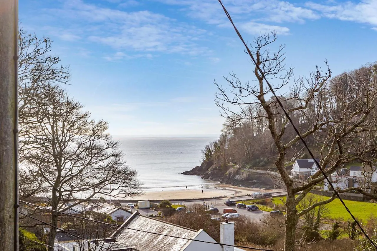 Elmo * Salcombe