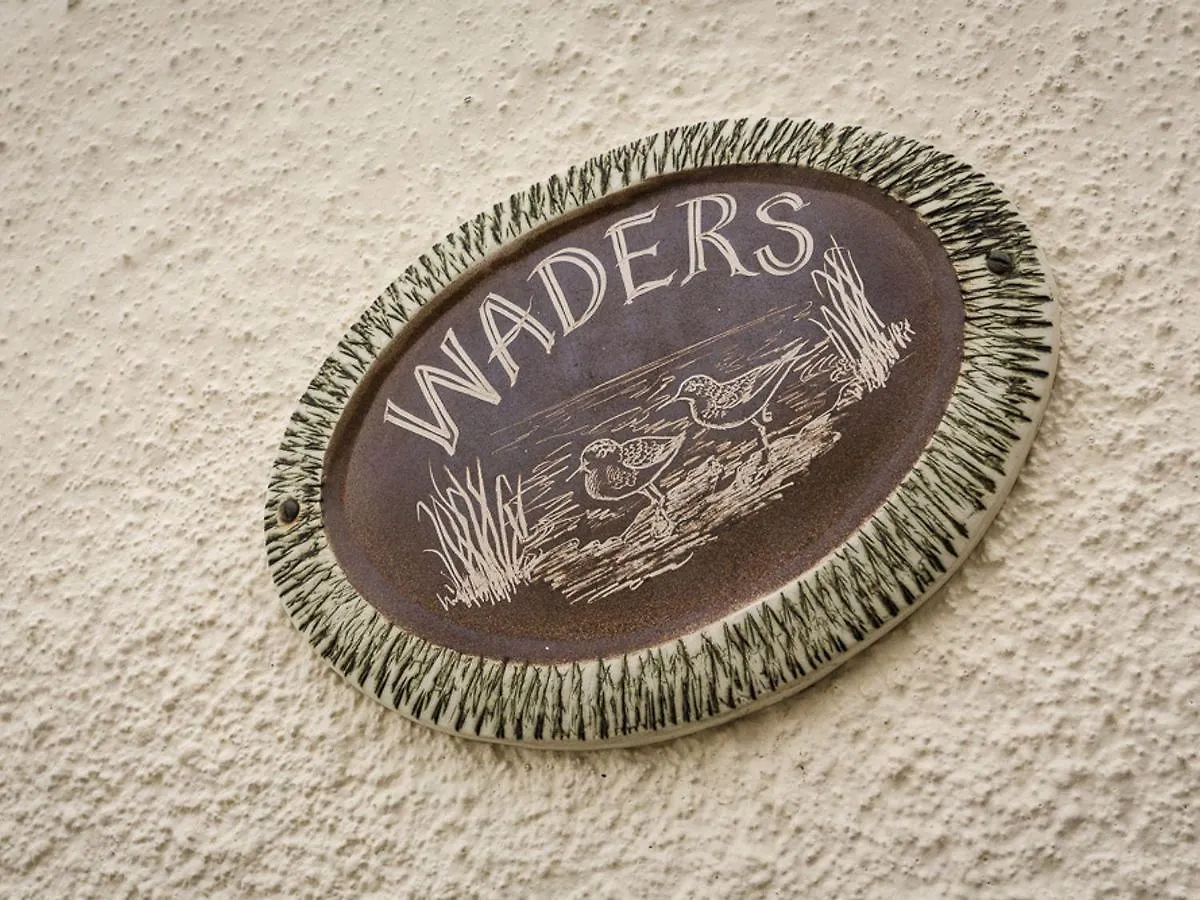Waders *