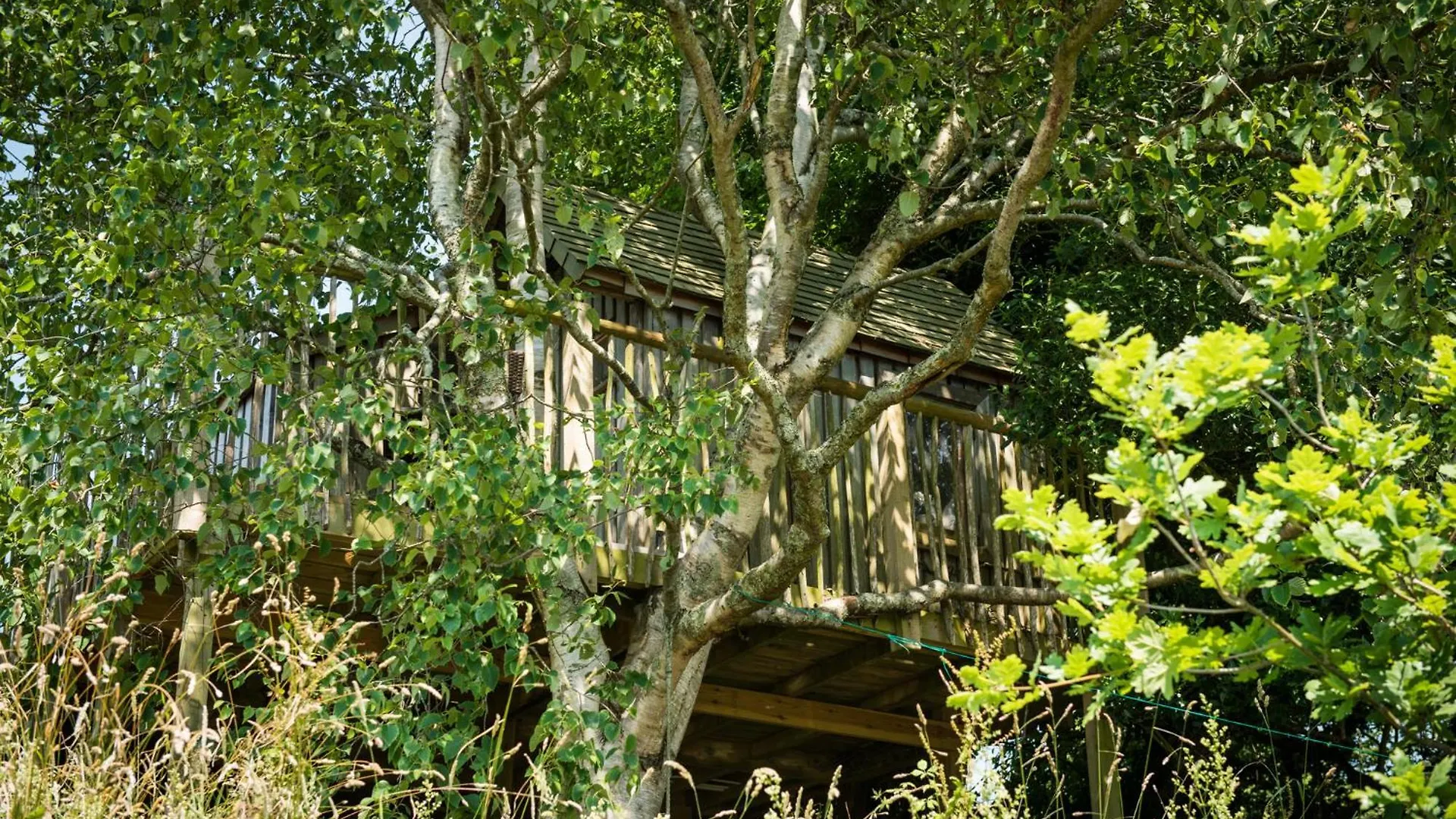 The Treehouse At Farm Salcombe