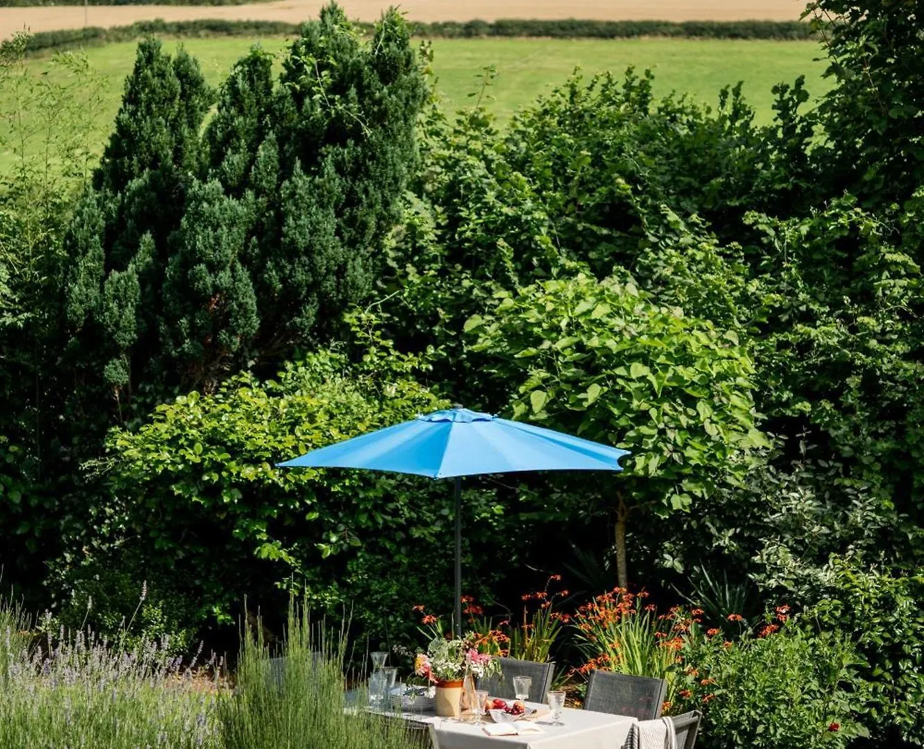 Osprey Holiday home *