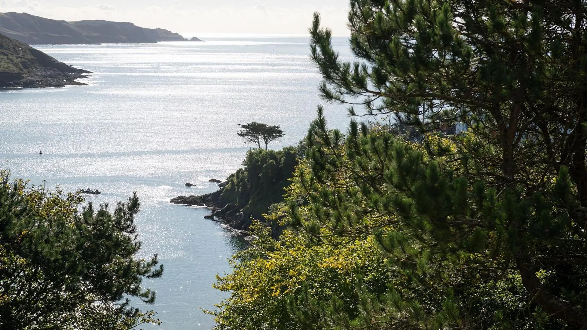 The Wood * Salcombe