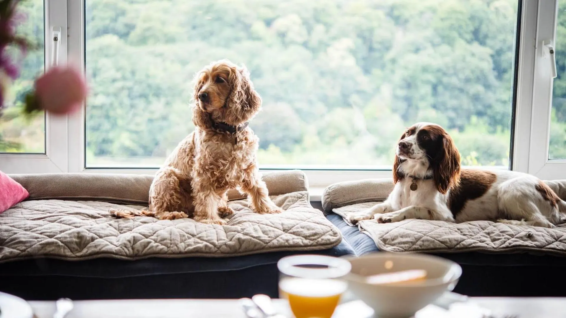 Holiday home Asman Salcombe