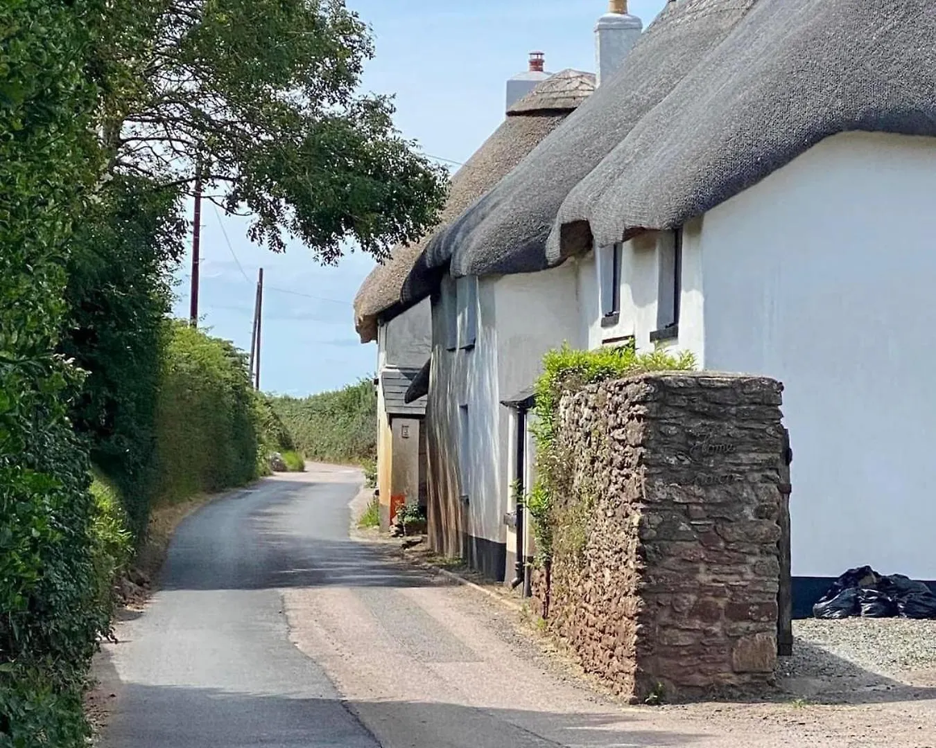 Hope Thatch *